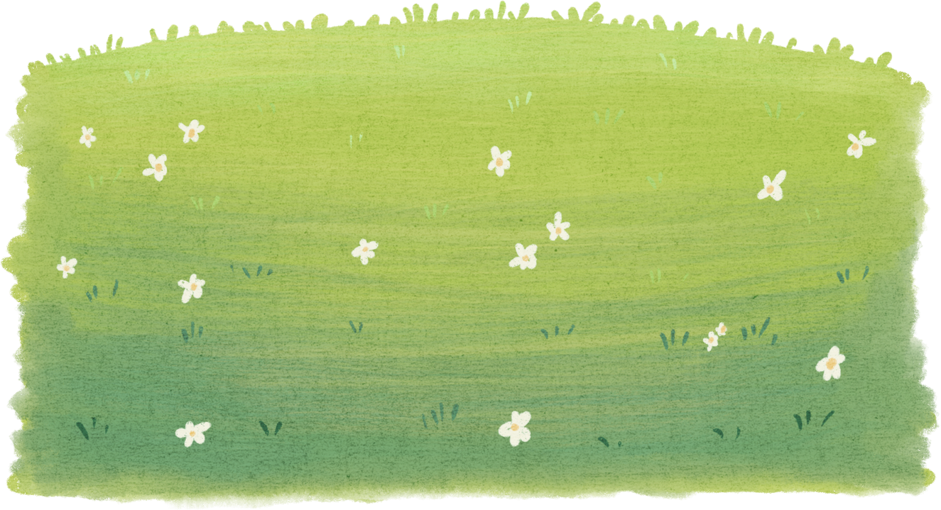 Grass Watercolor Illustration